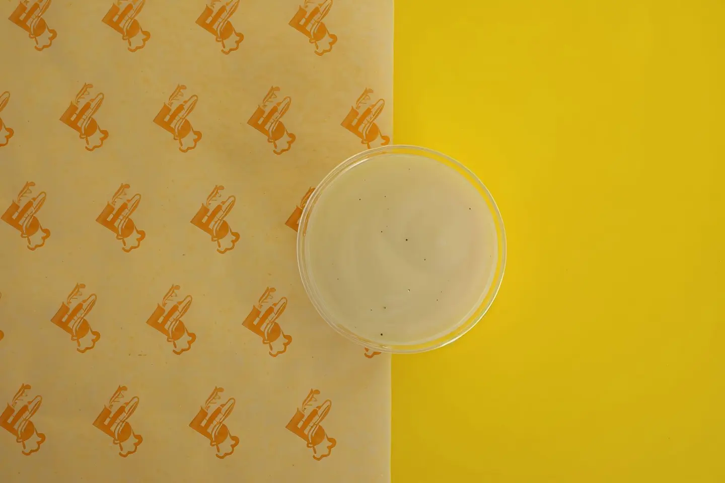 Mayonnaise