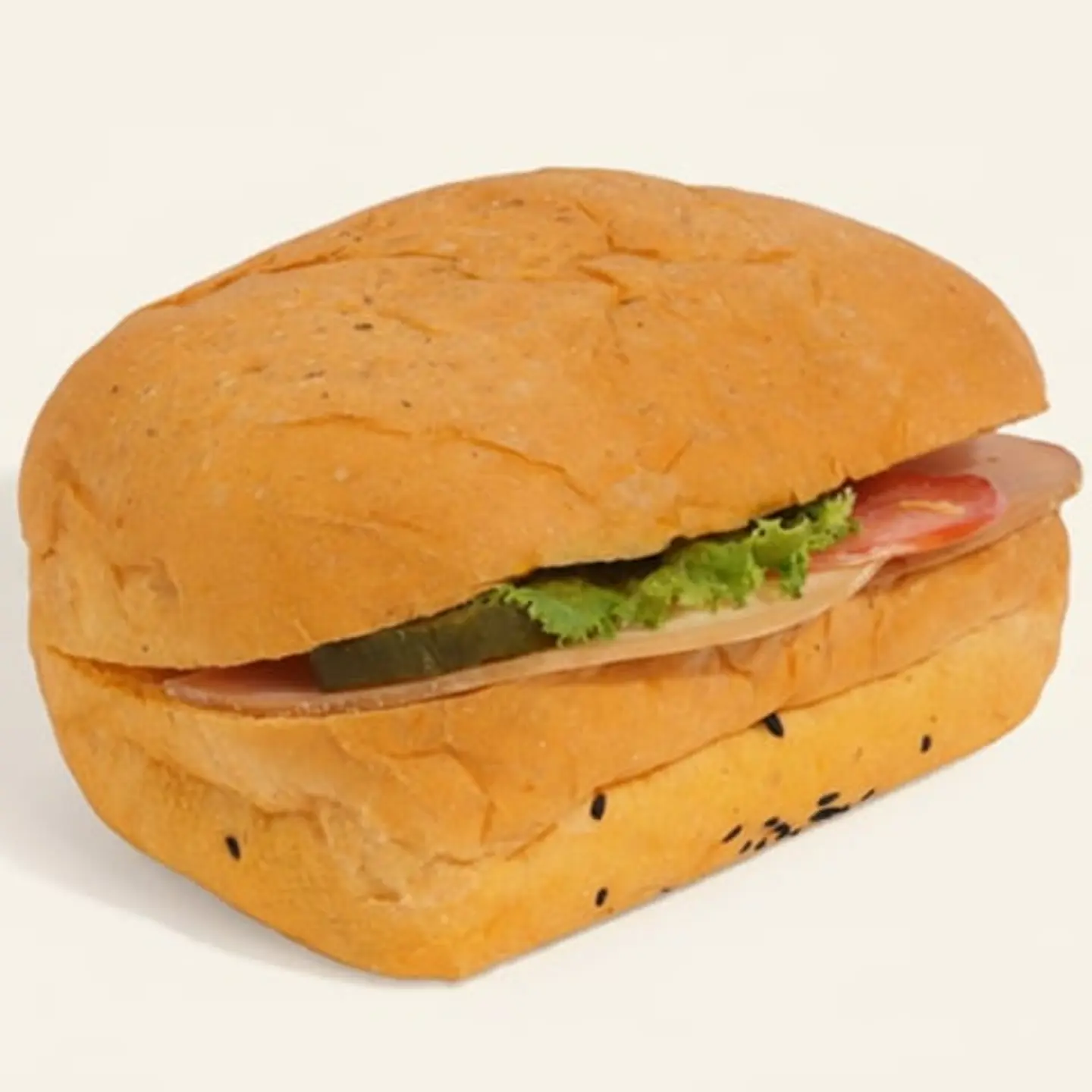 ساندوتش الديك الرومي