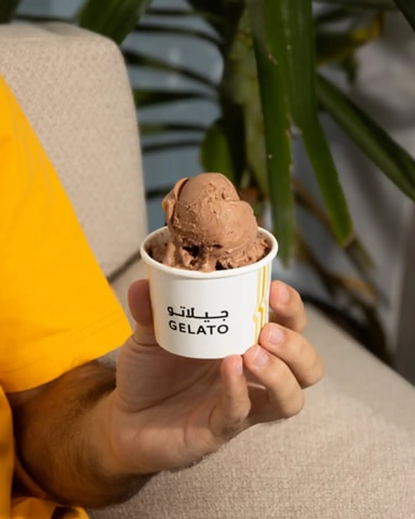 جيلاتو الكت كات