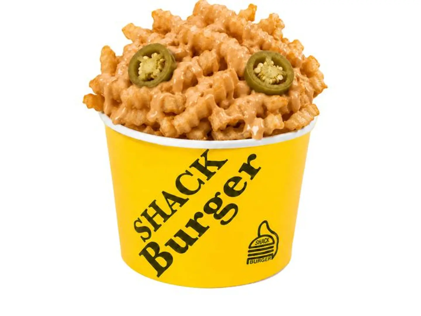 Spicy Fries