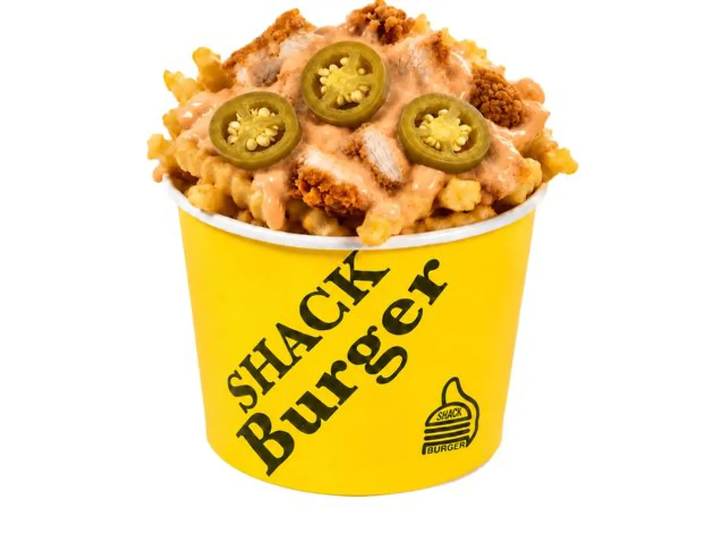 Spicy Fries Chicken