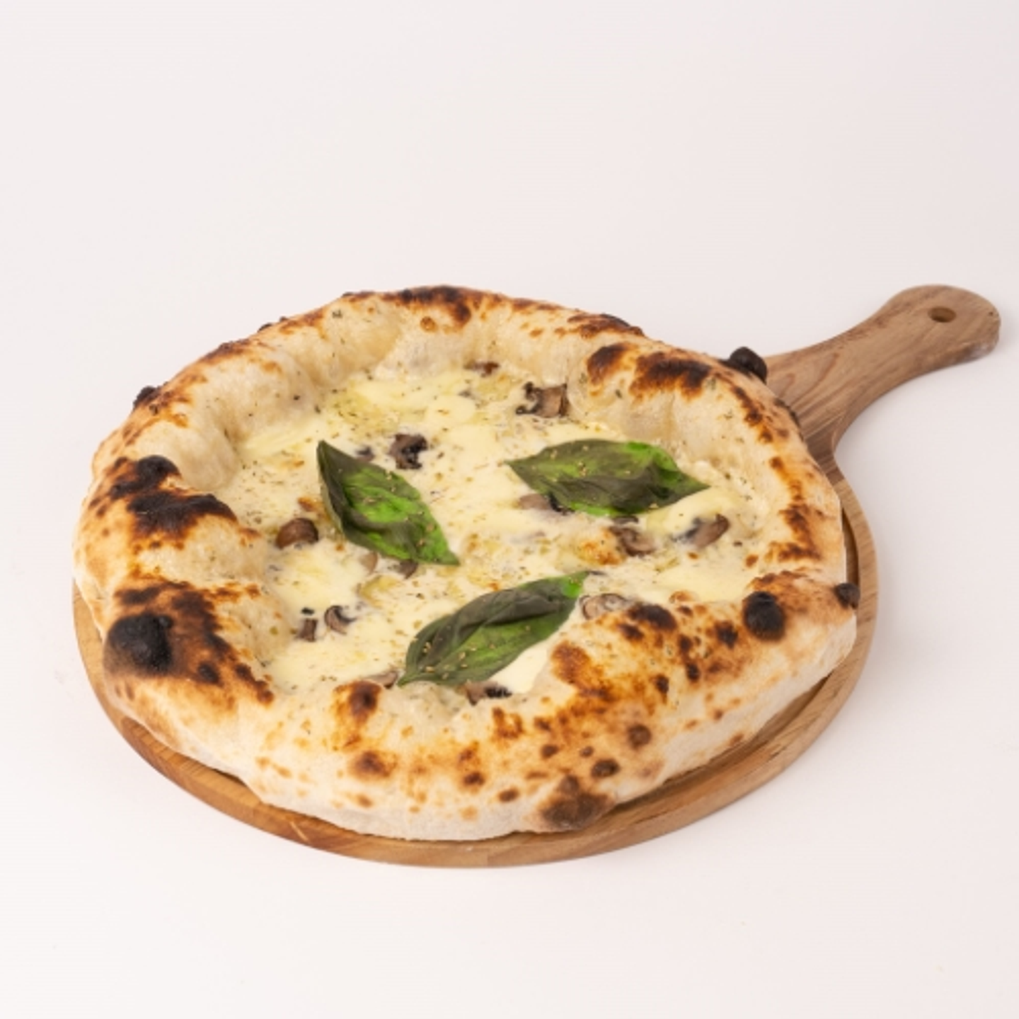 Travel Pizza