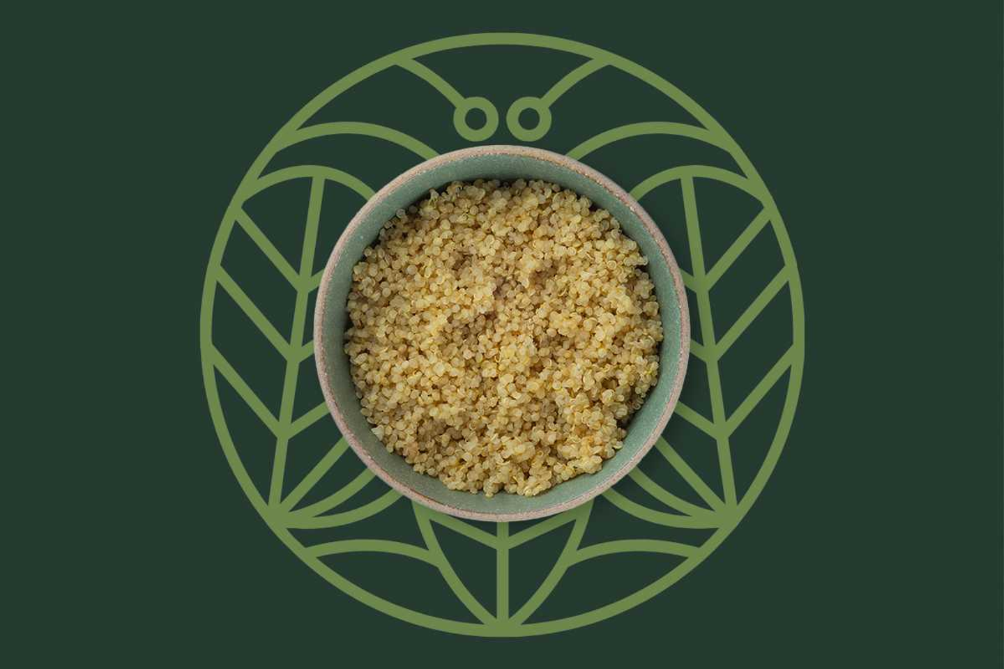 Organic Quinoa