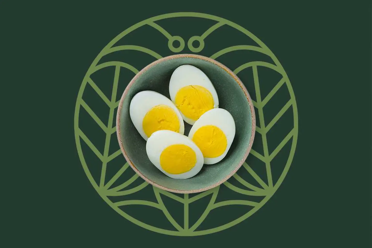 2 Soft Boiled Eggs
