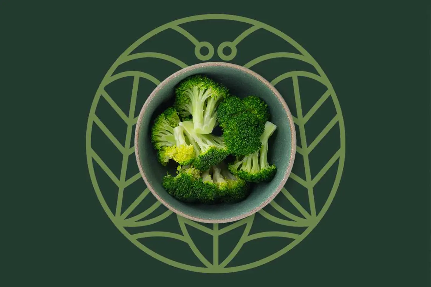 Steamed Broccoli