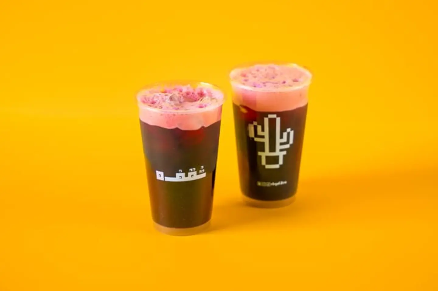 Hibiscus Offer 1+1