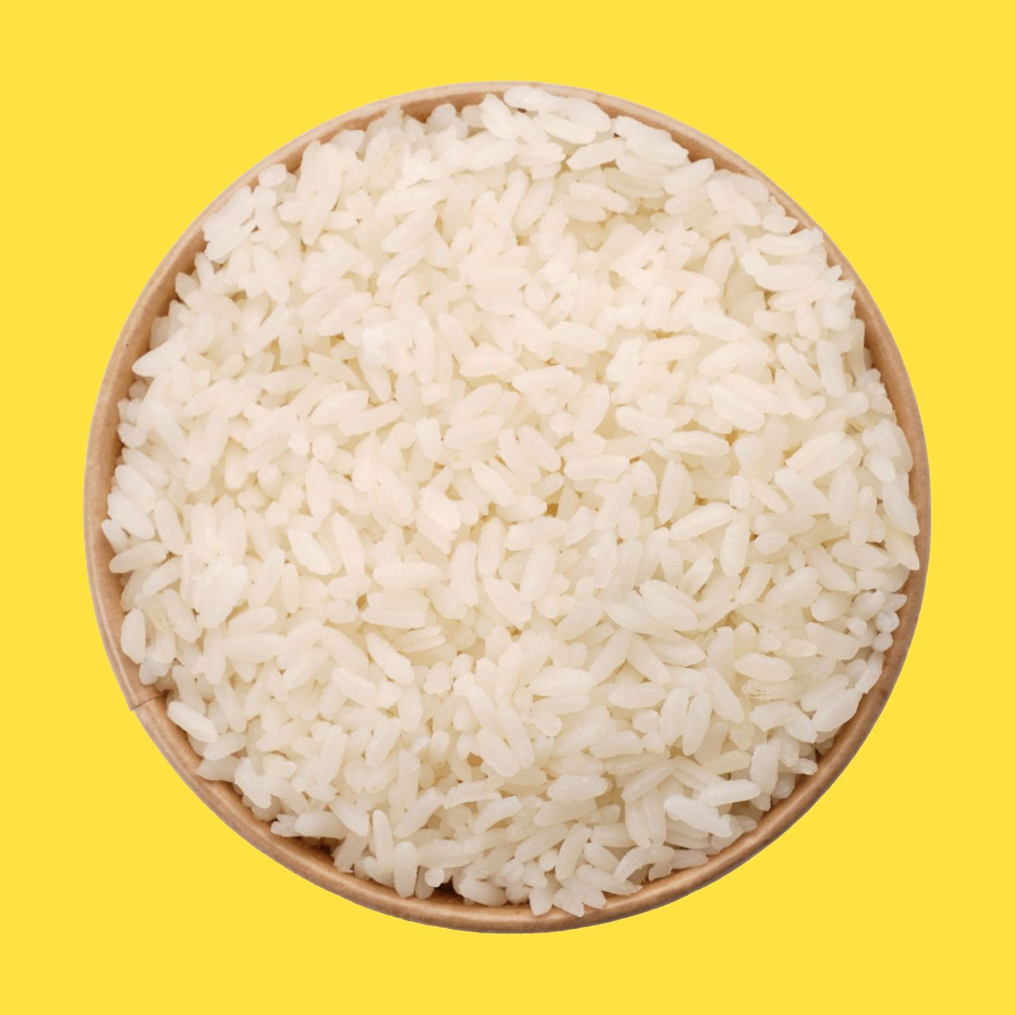 رز ابيض
