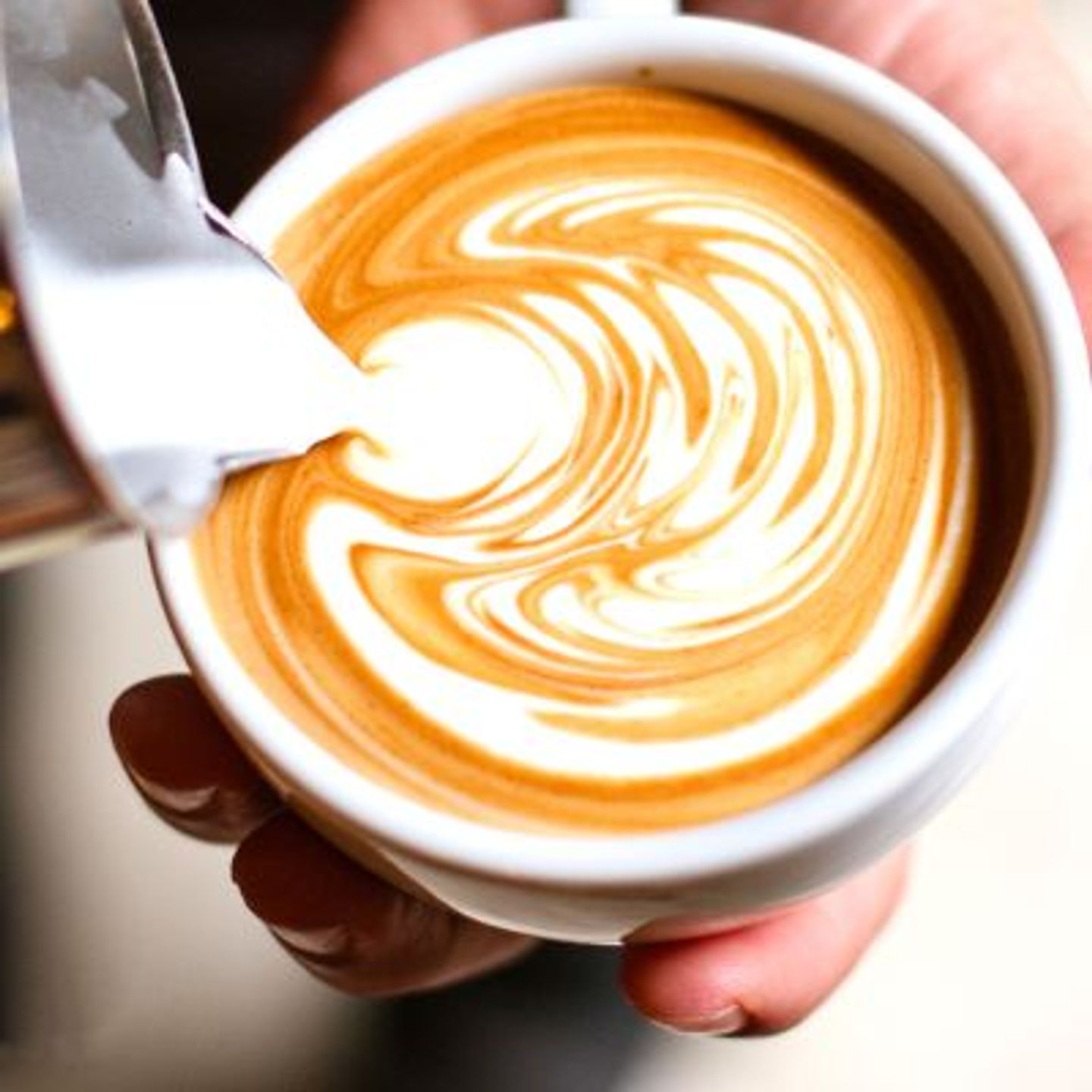 Cappuccion