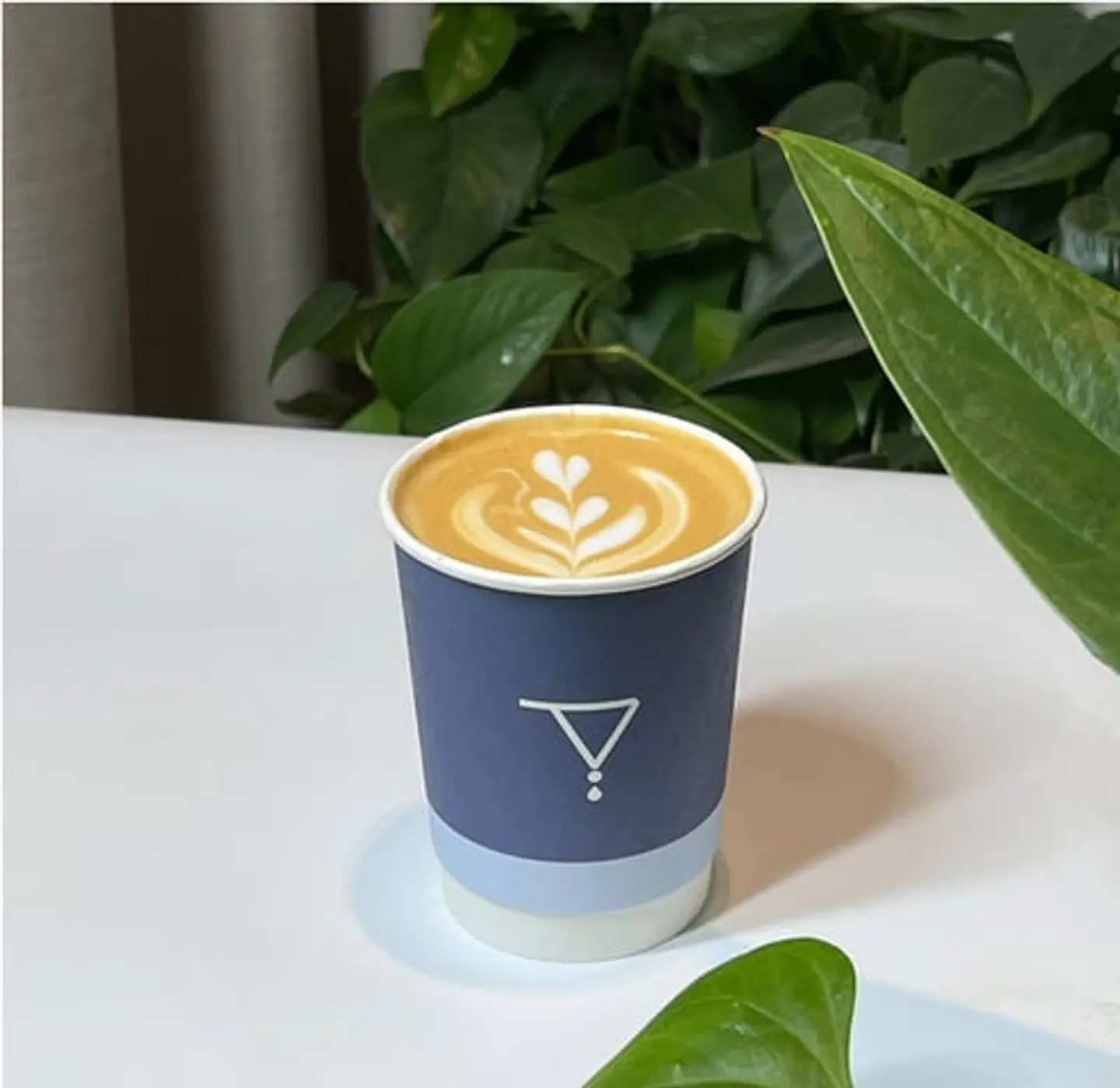 Latte
