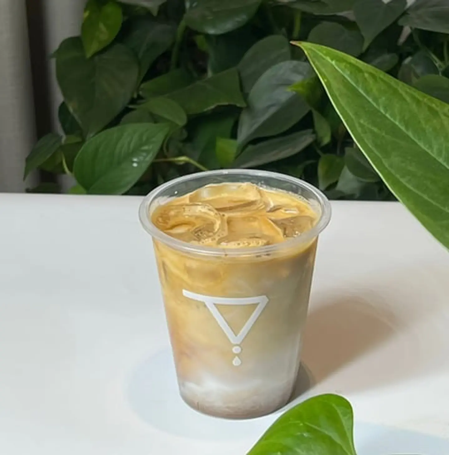 Iced Spanish Latte