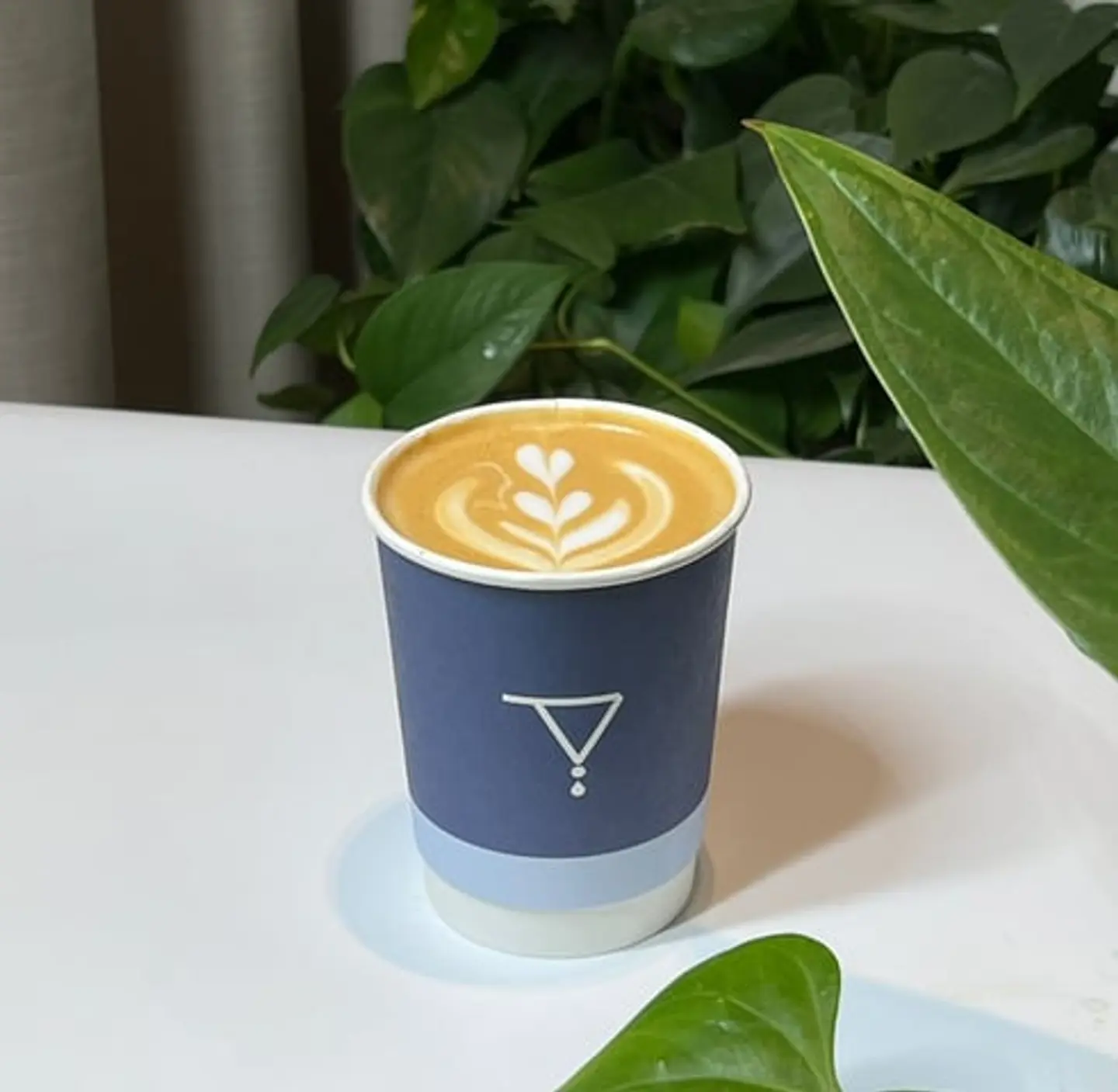 Spanish Latte