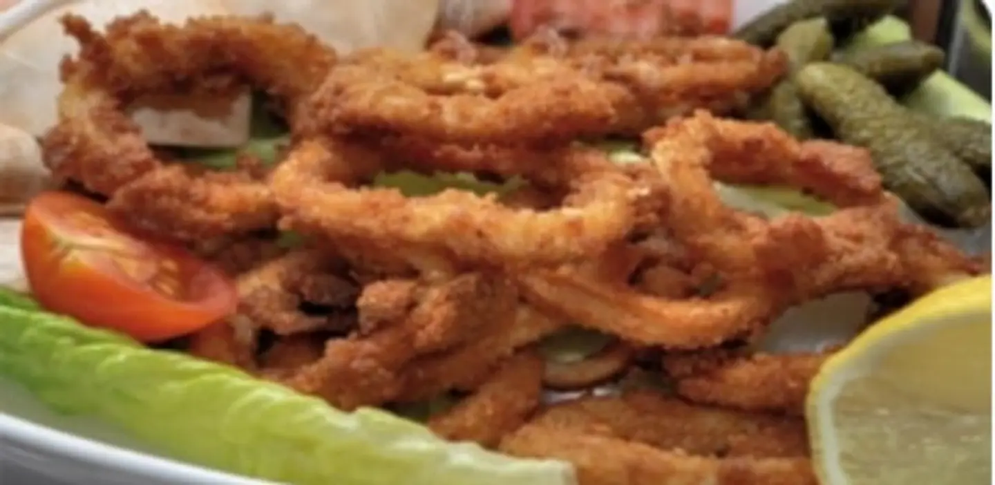 حلقات الحبار