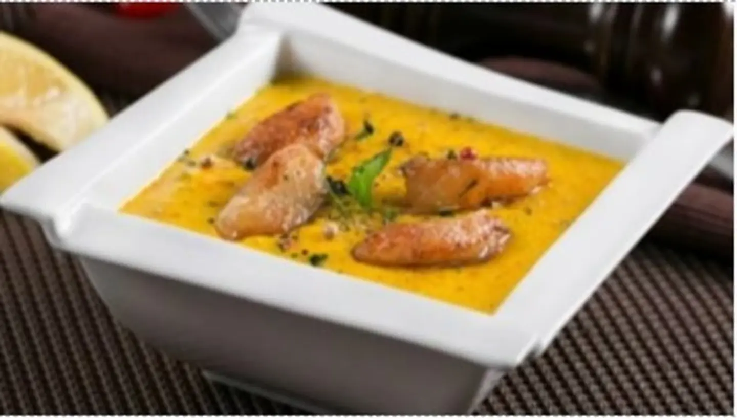 سمك ثيرمادور