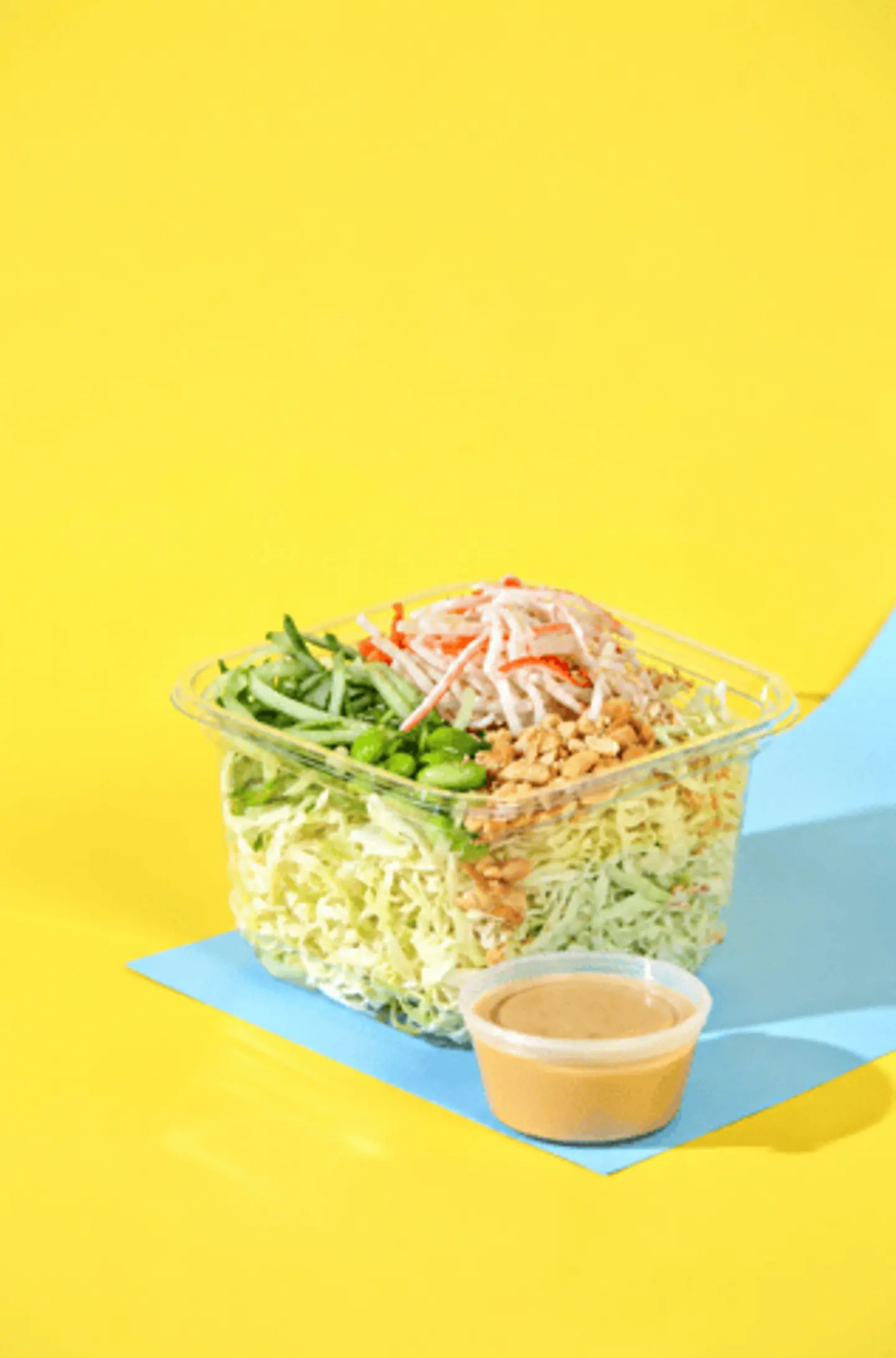 Osaka Salad