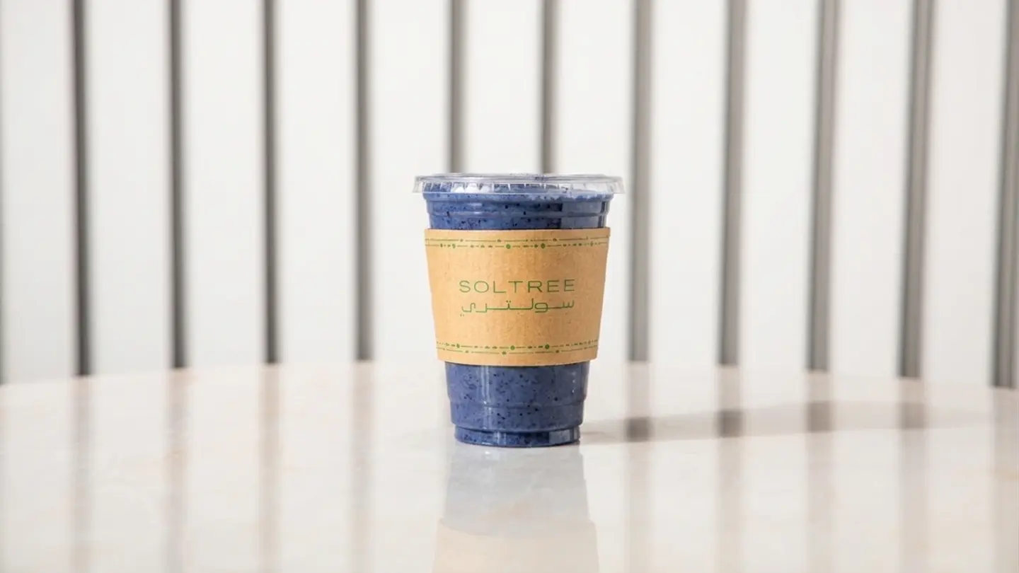 Blueberry Protein Milkshake