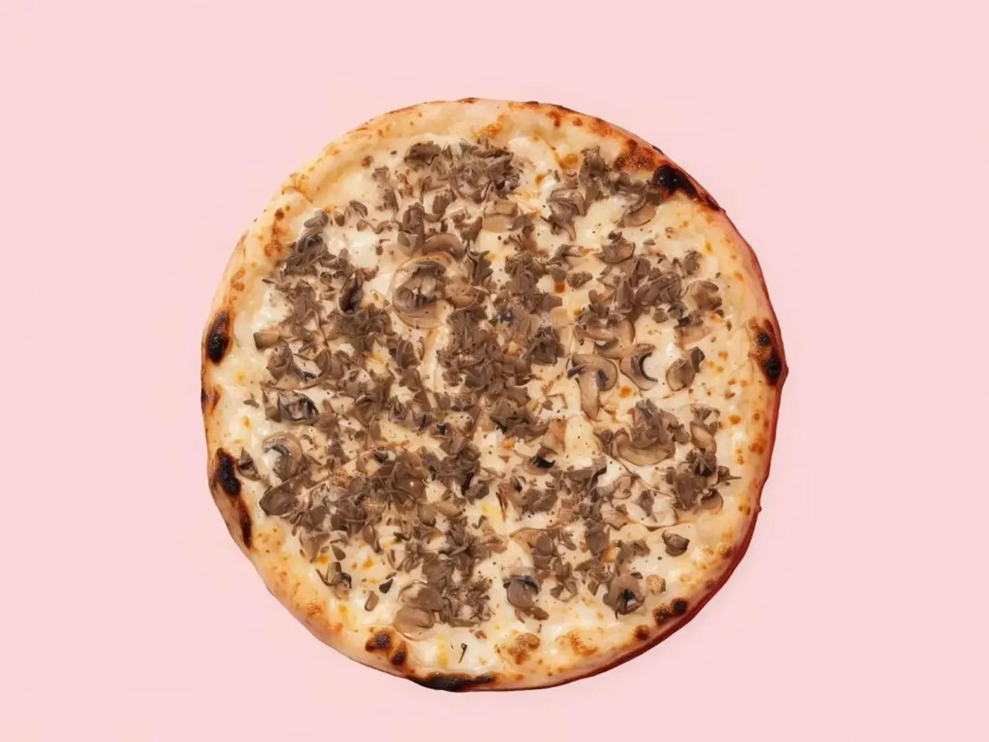 بيتزا ترافل