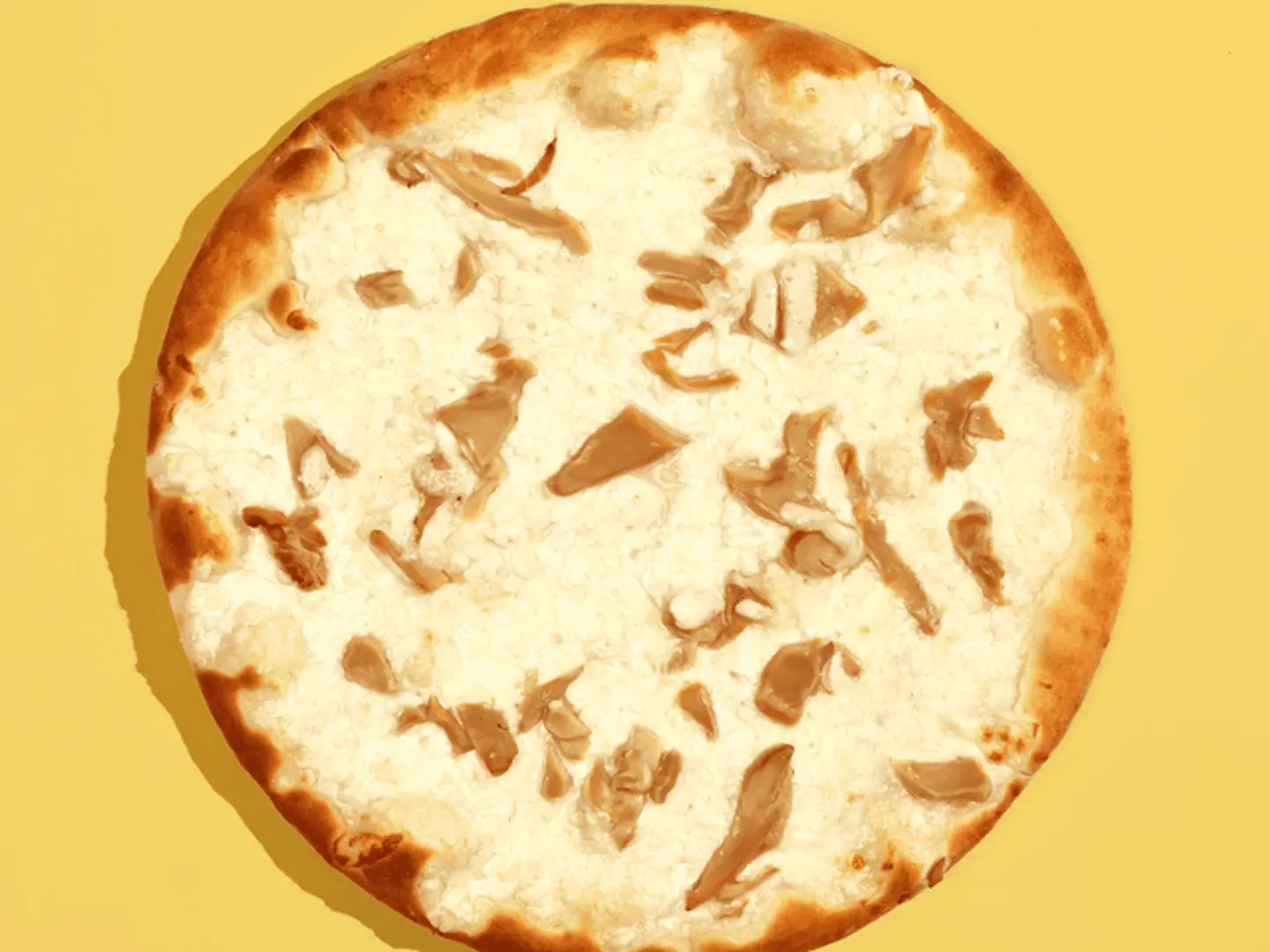 Akkawi Cheese With Mushroom