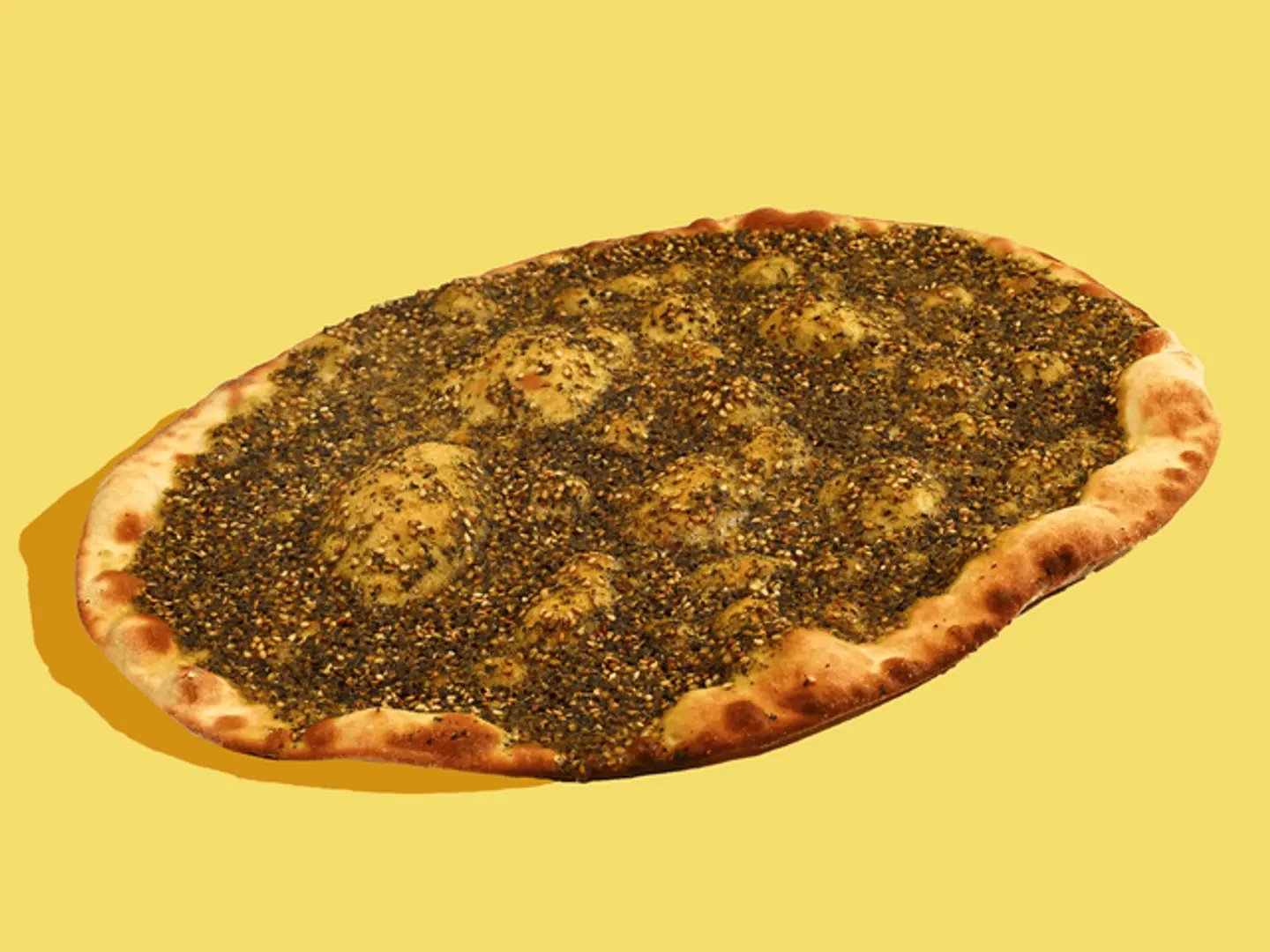 Plain Thyme Mashroh