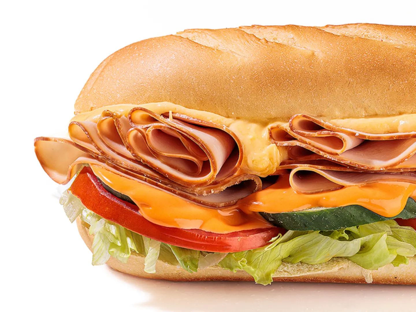 Turkey Sub