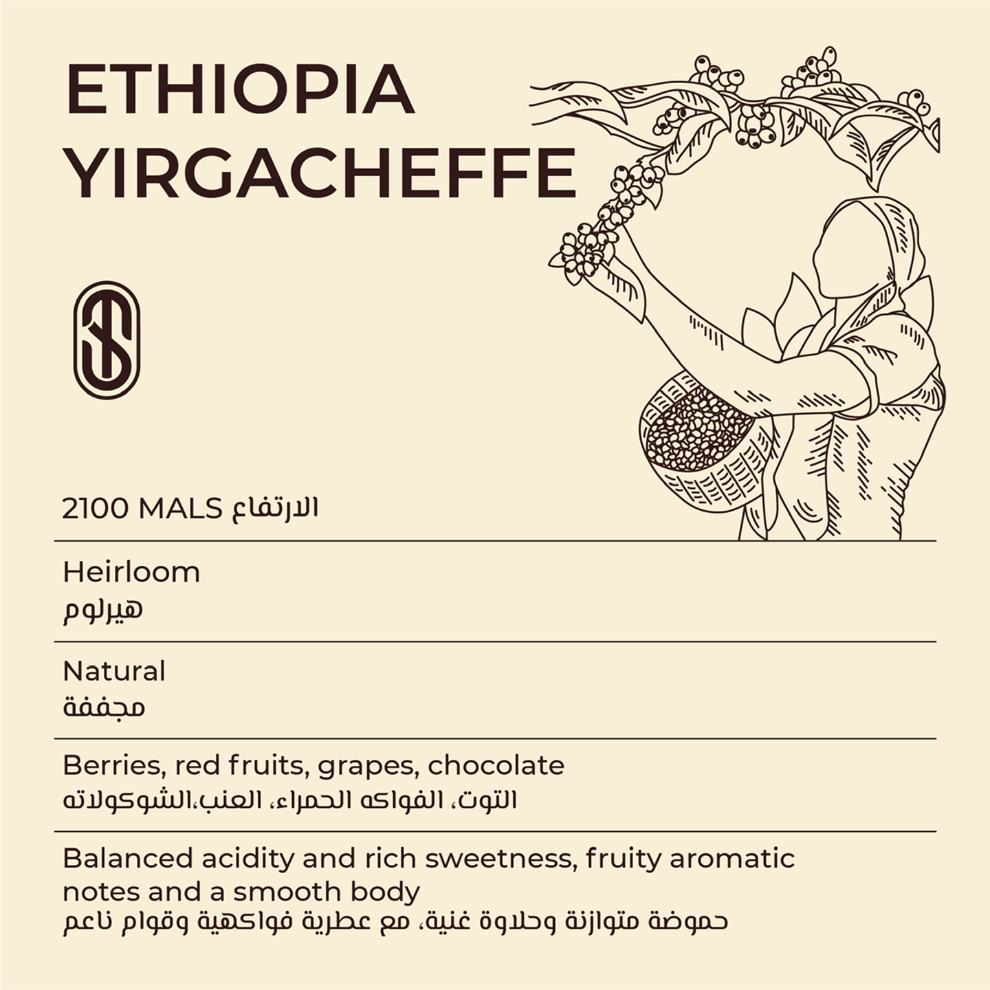 Ethiopia Yirgacheffe