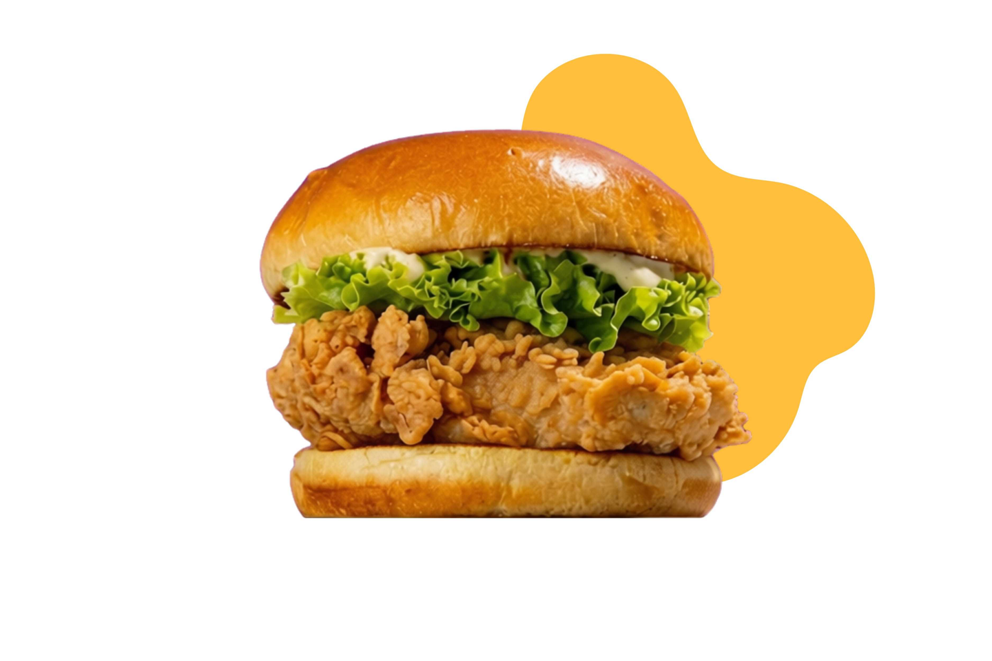 Crispy Chicken Burger