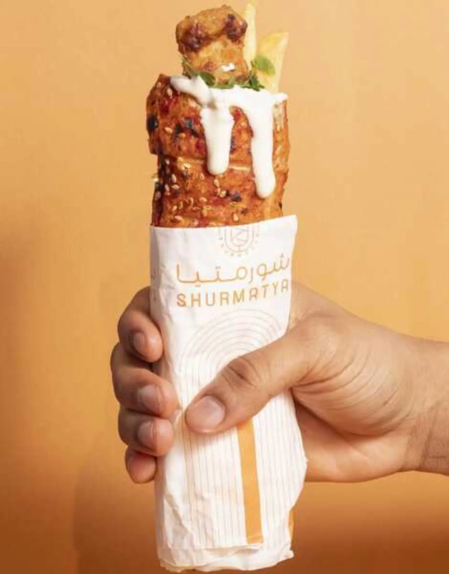 قرصان كباب دجاج