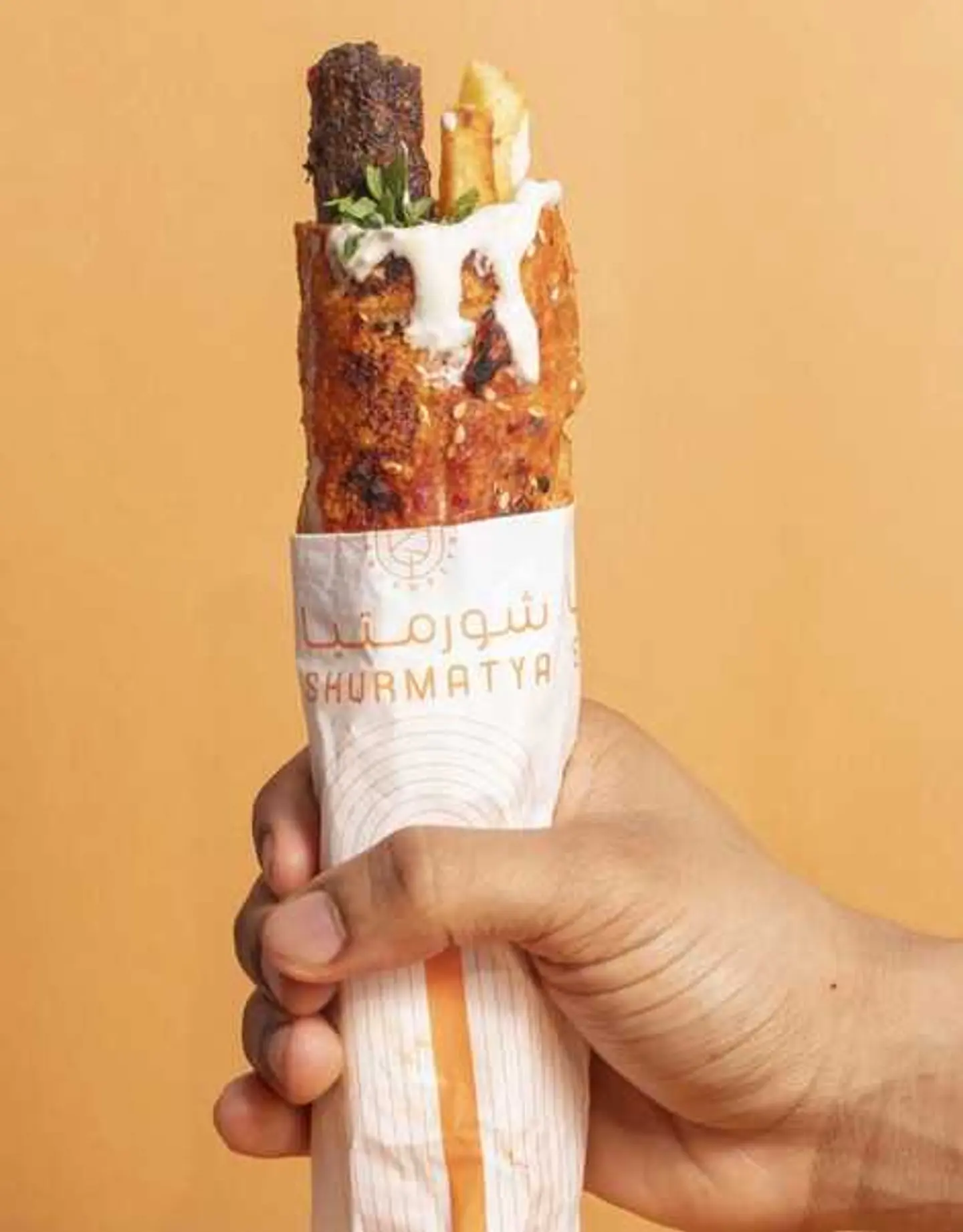 قرصان كباب لحم