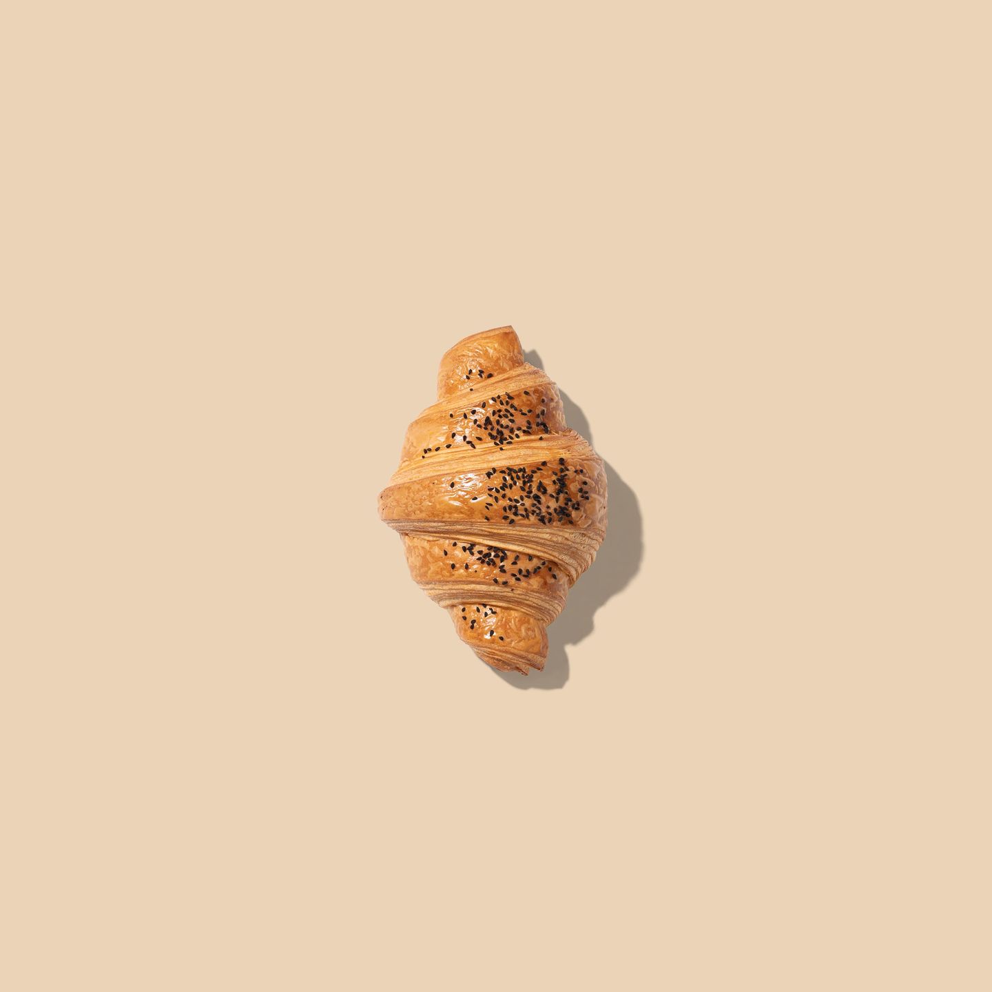 Croissant Cheddar