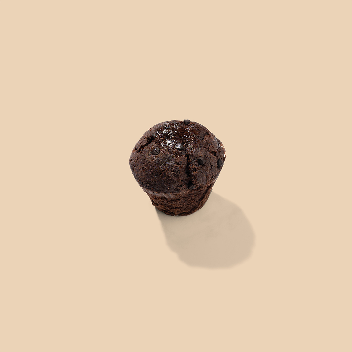 Muffin Chocolate
