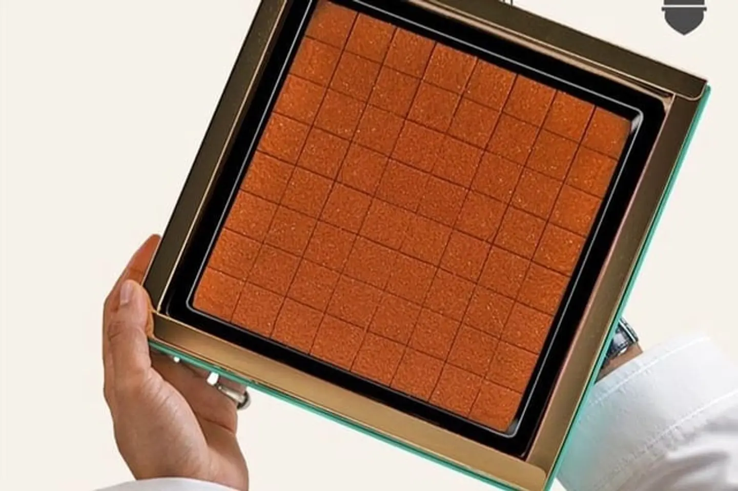 قولدن تاتش فيلان