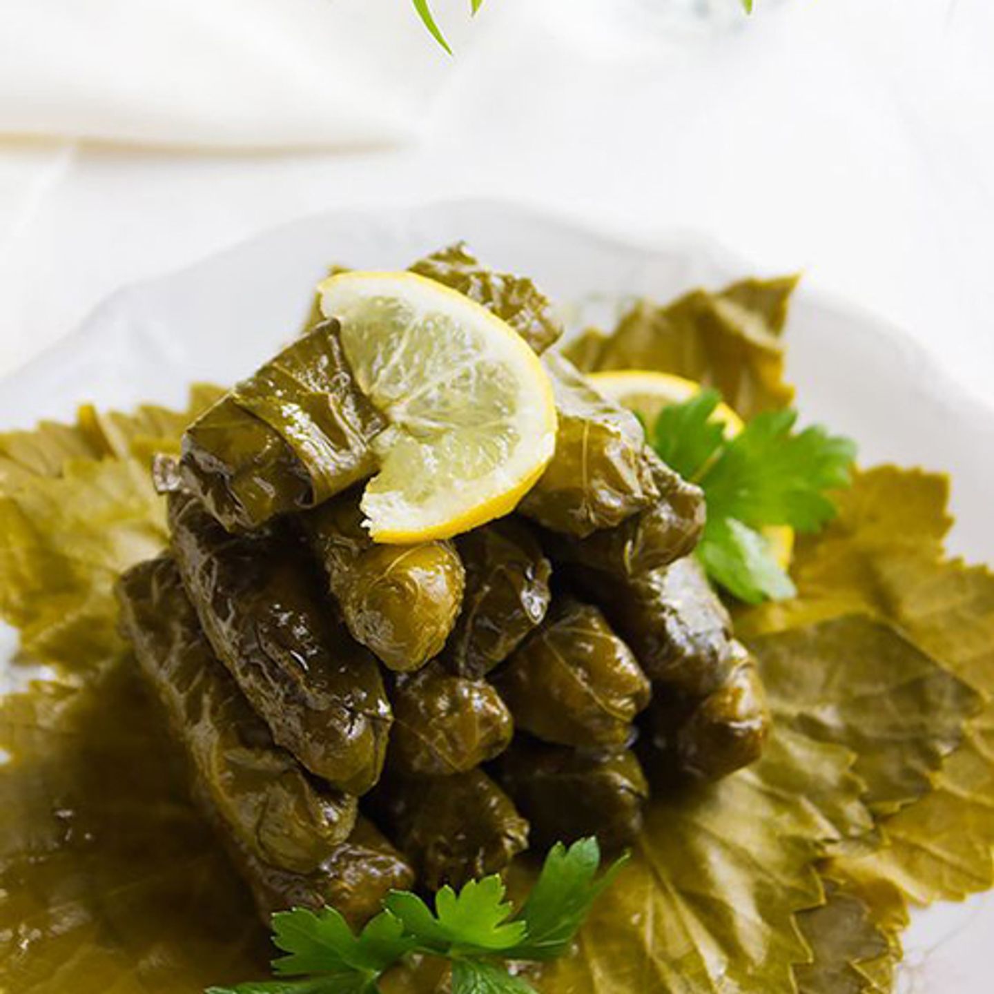 ورق عنب
