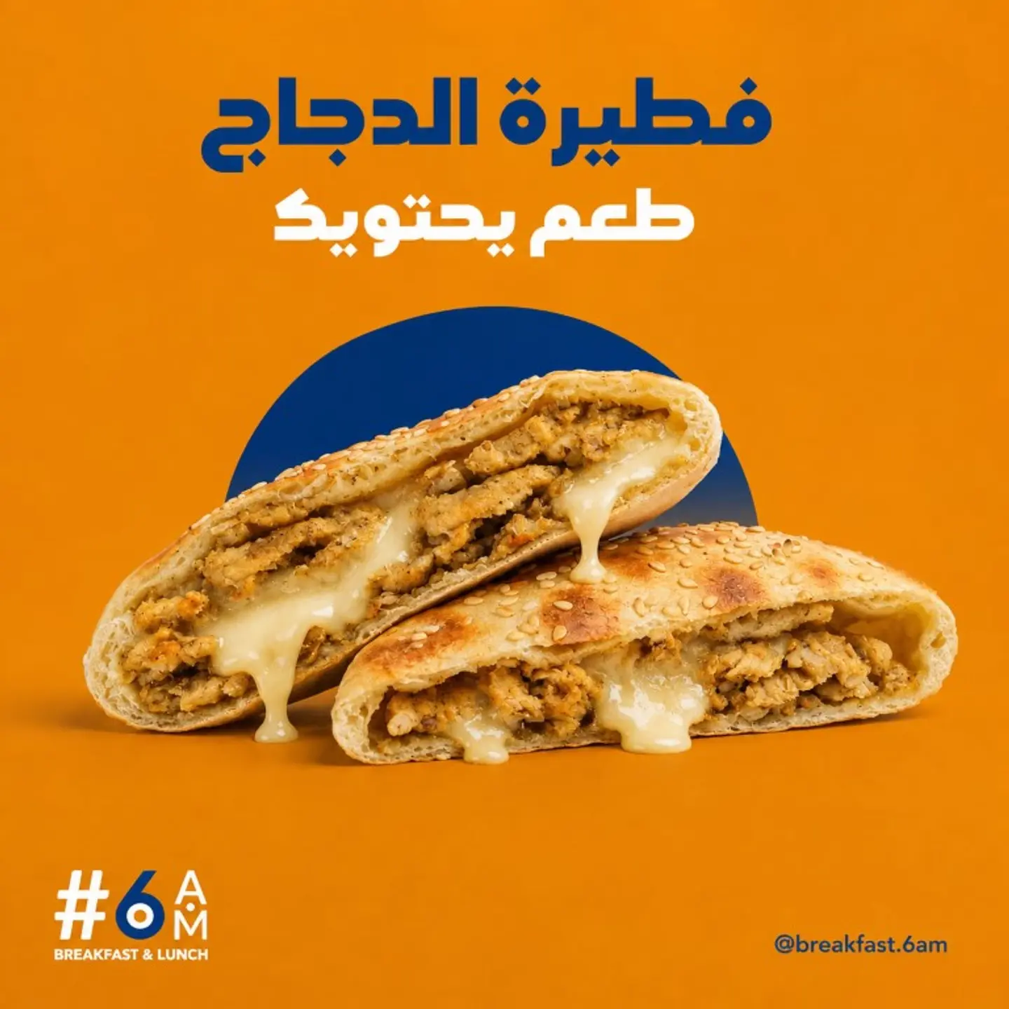 فطيرة دجاج بالجبن