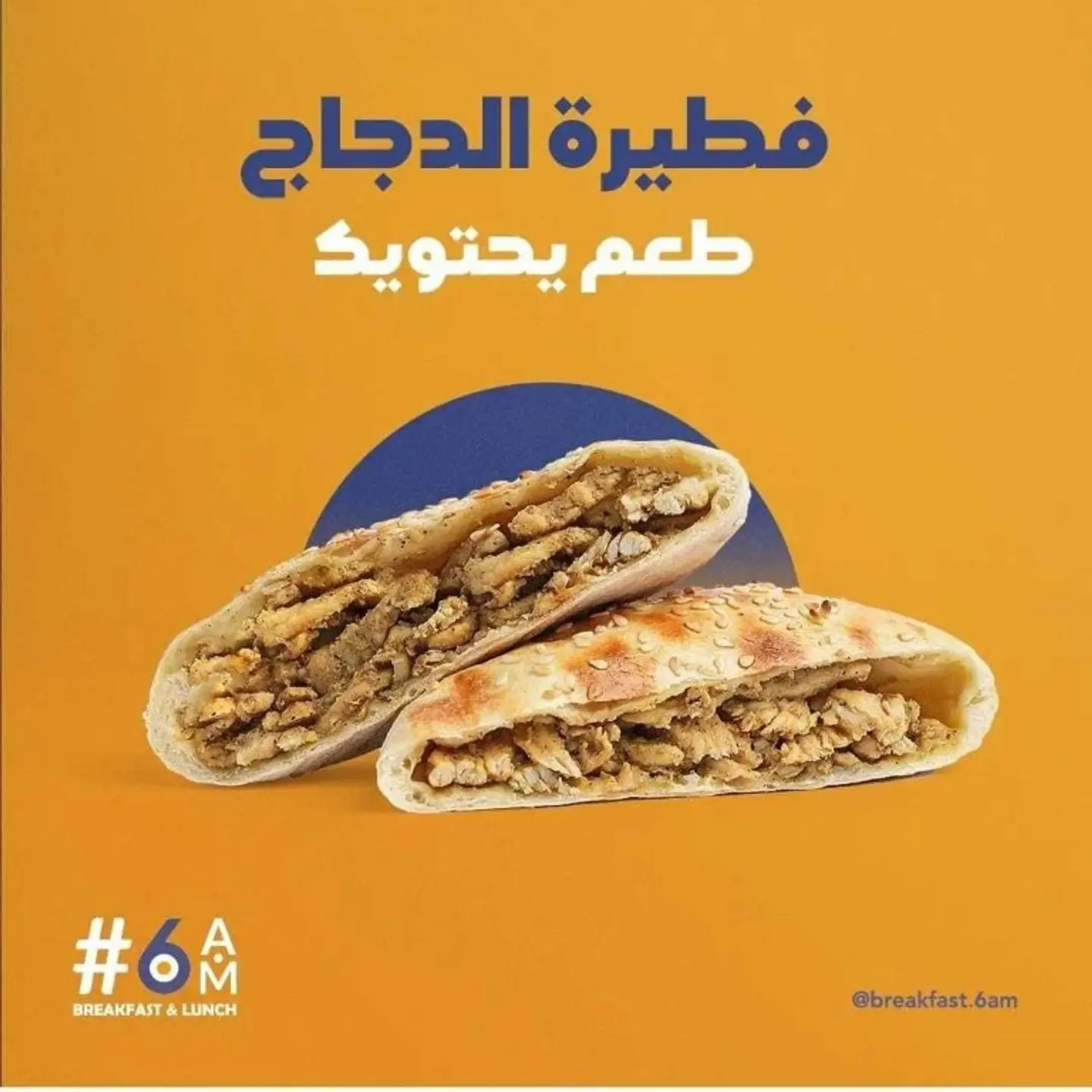 فطيرة دجاج