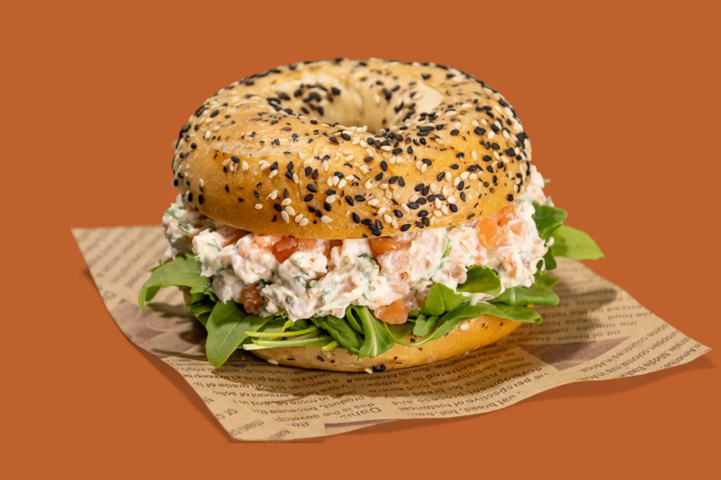 Salmon Bagel