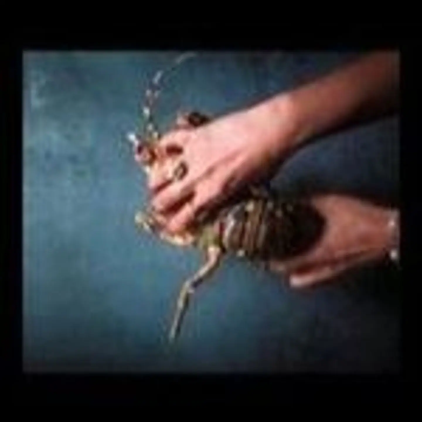 استاكوزا مقلي طبق