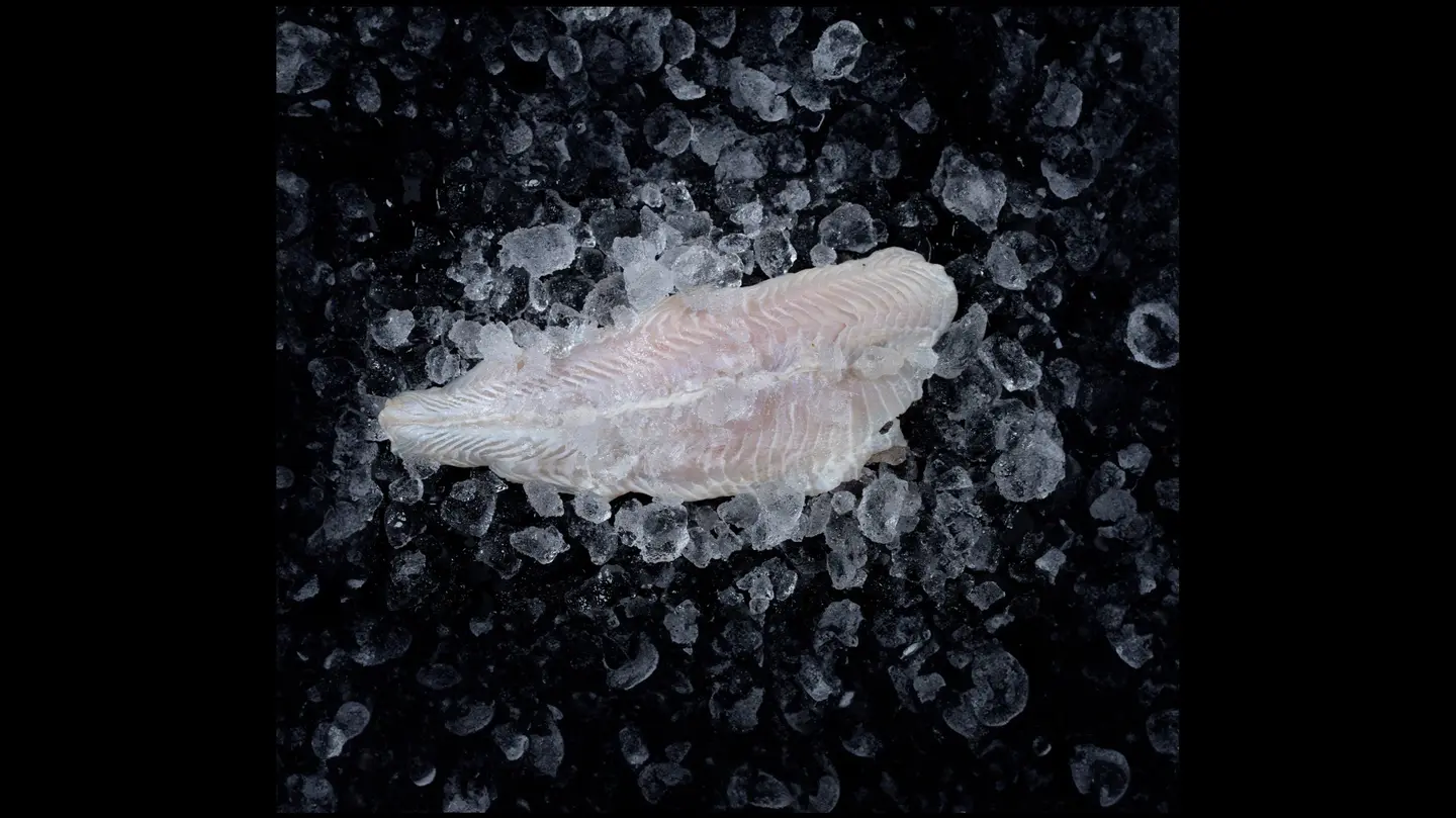 Fried Fish Fillet