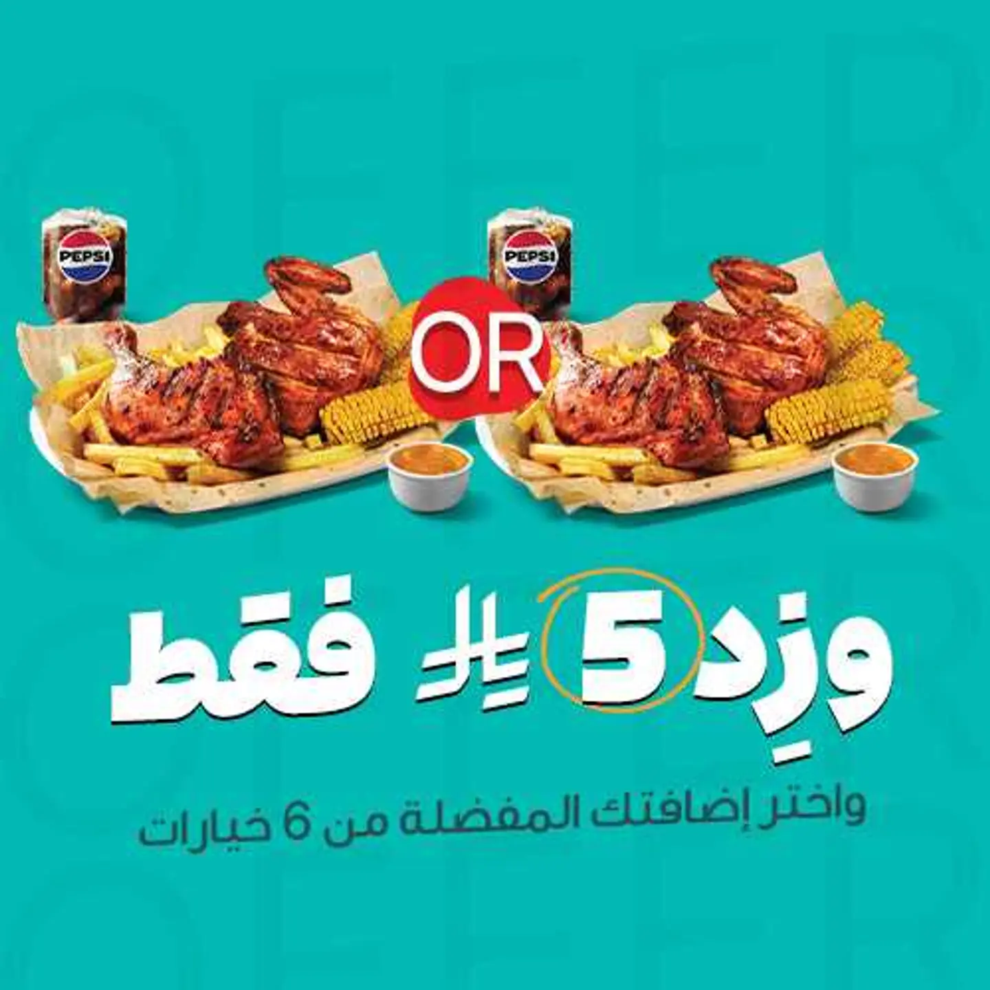 2 Tandoori Meals Combo