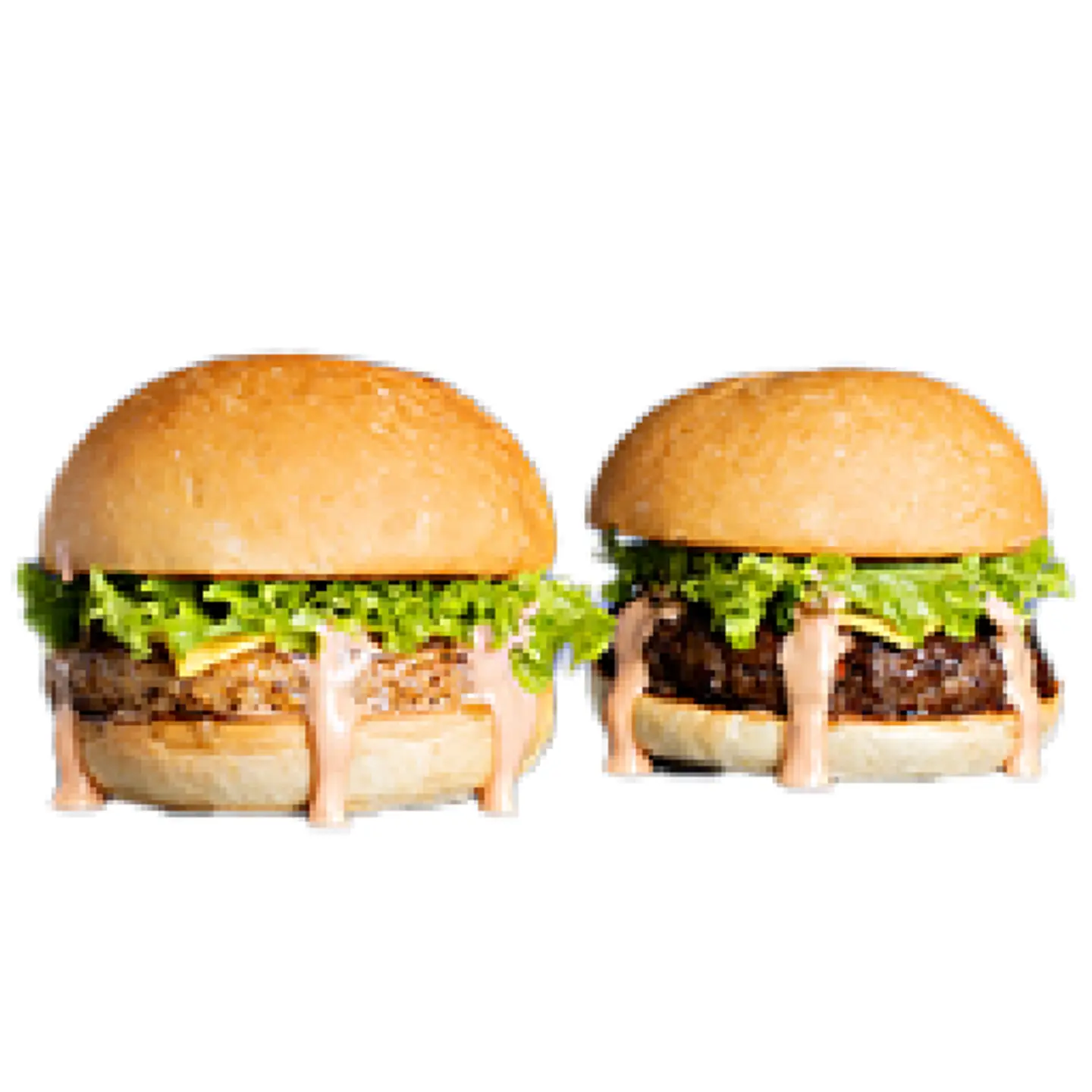 Classic Burger - Classic Chicken Combo