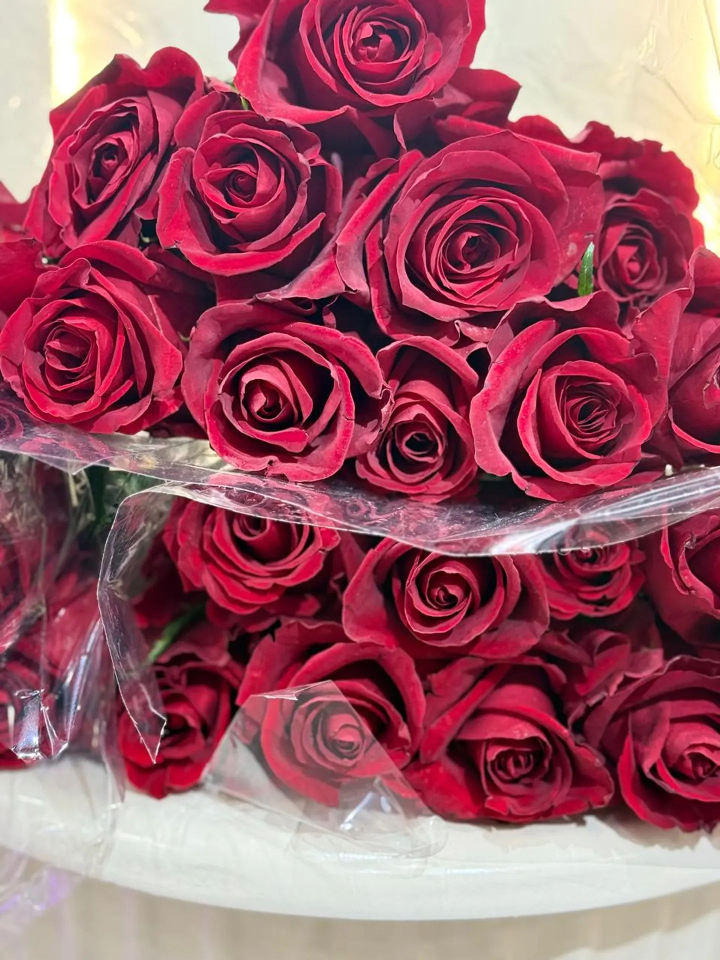 50 Red Roses Wholesale