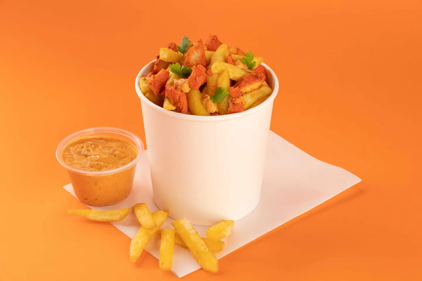 Tikka Fries