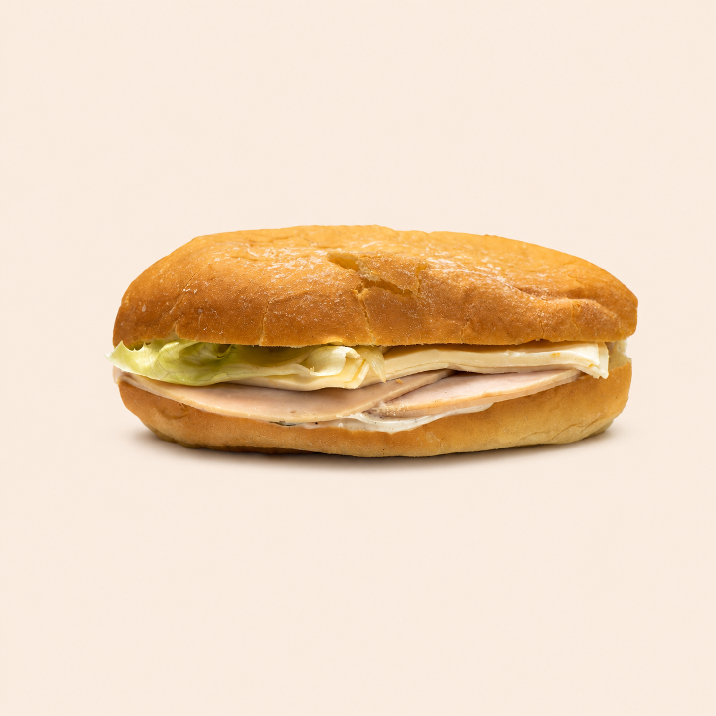 Turkey Baguette