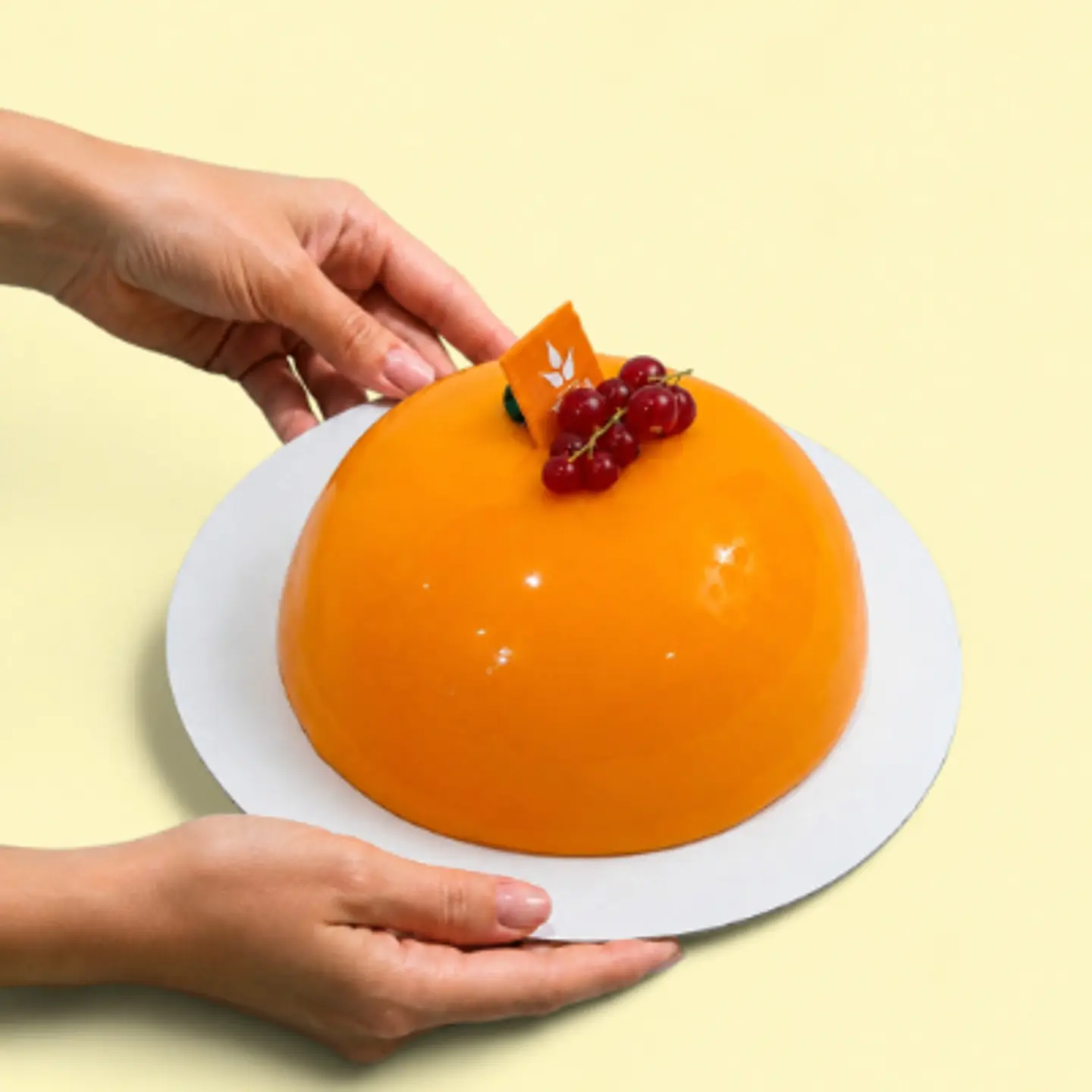 Mango Ice Cream Cake