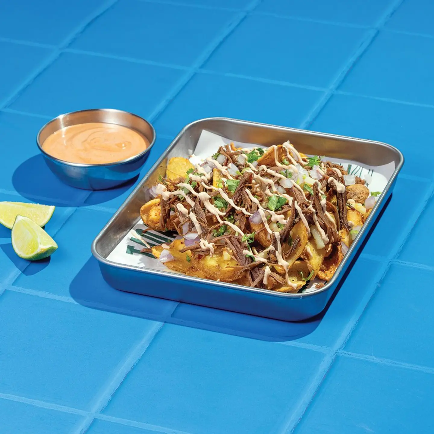 Birria Loaded Fries