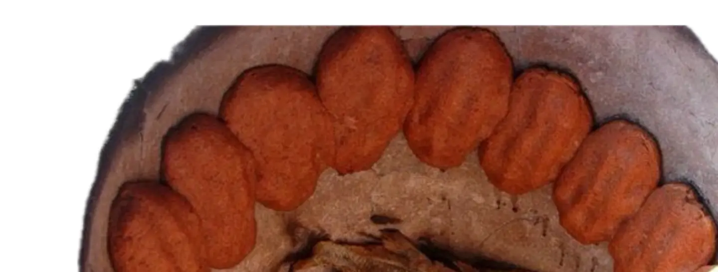 Tandor Khameer Bread