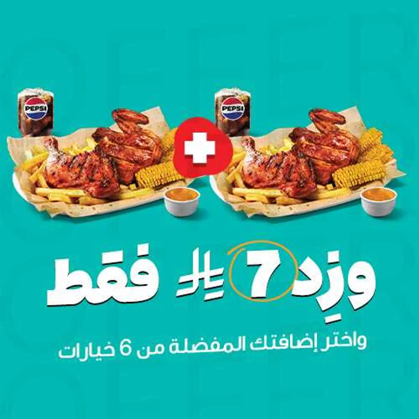 وجبة ٢ تندوري