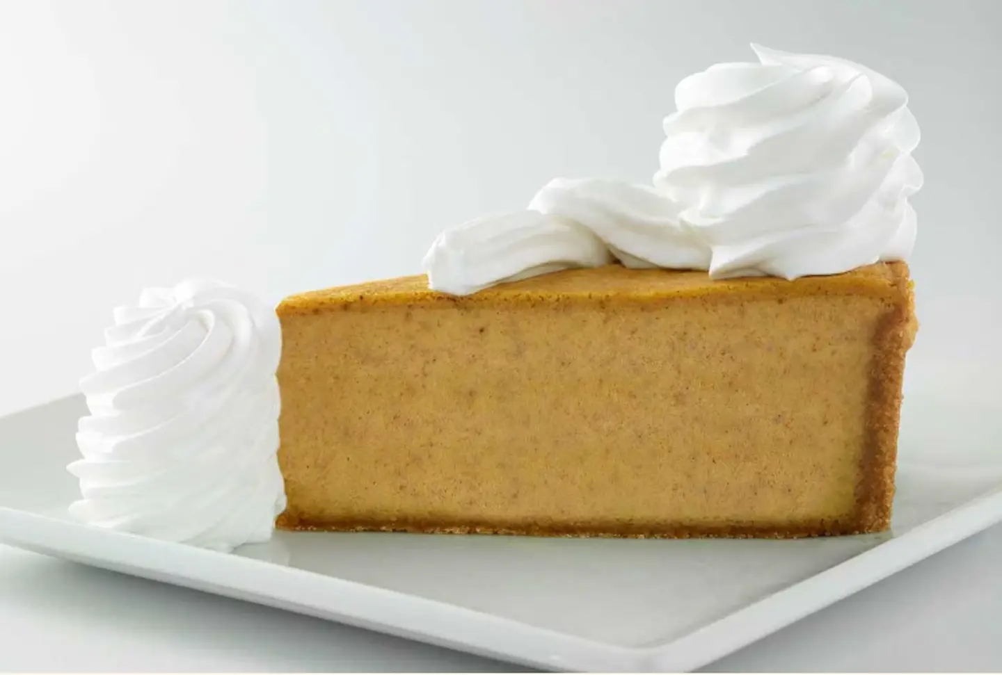 Pumpkin Cheesecake