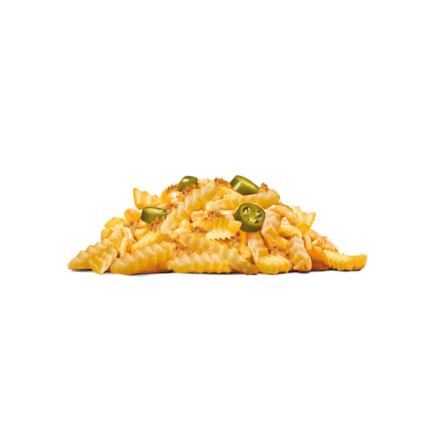 Tex Chili Fries