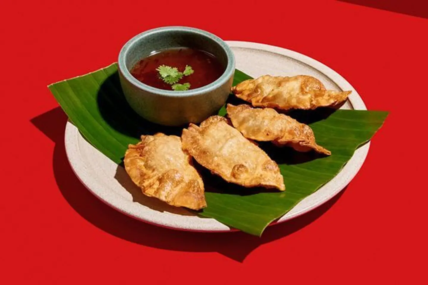 Fried Dumplings