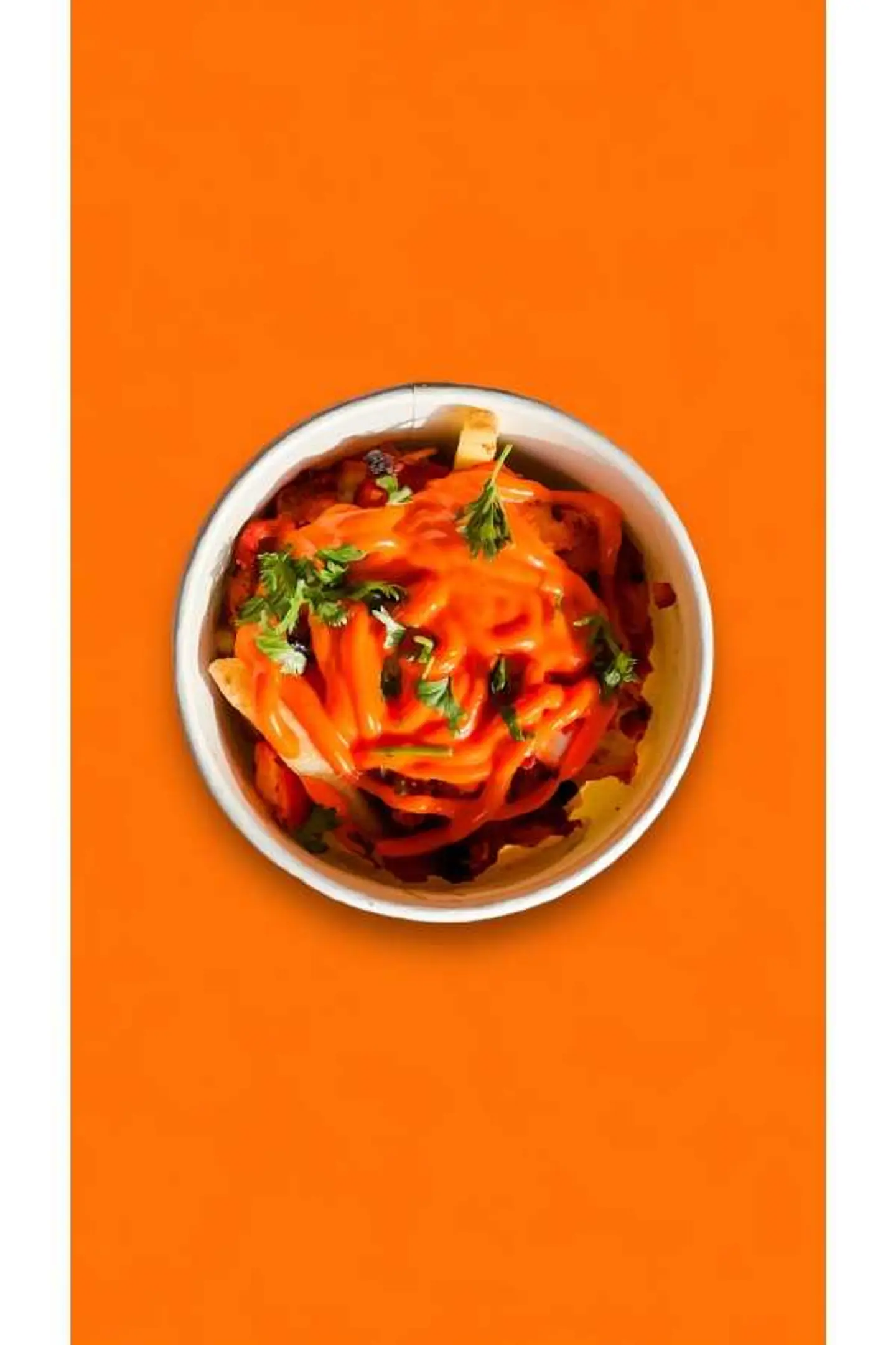Tikka Fries