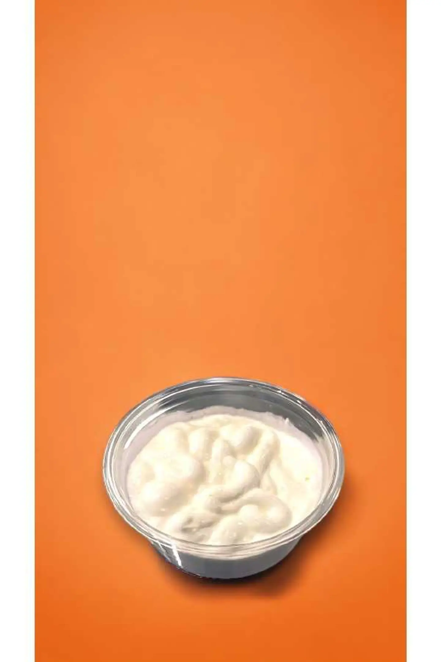 Garlic Sauce